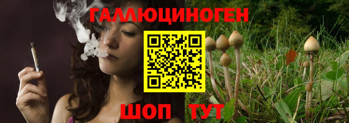 Бузулук  Галлюциногенные грибы Magic Shrooms  Вход с VPN 