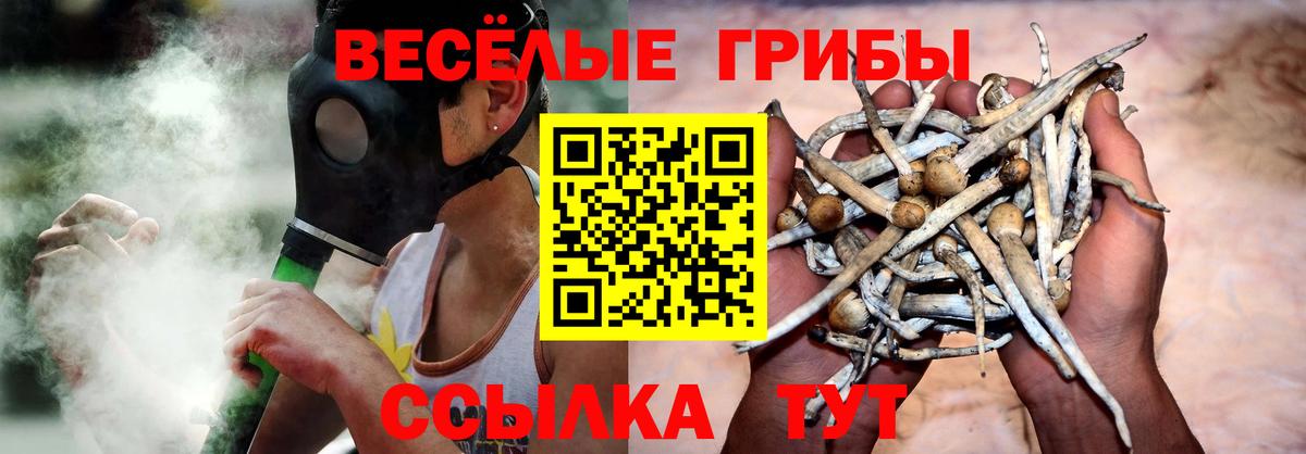 Псилоцибиновые грибы ЛСД Бузулук